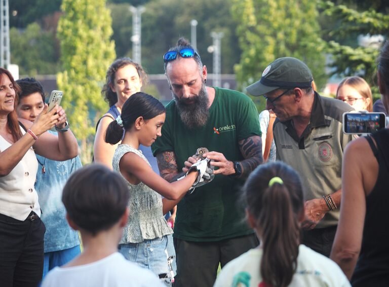 Una veintena de niños participa en la liberación de autillos y cernícalos recuperados en Ilundain