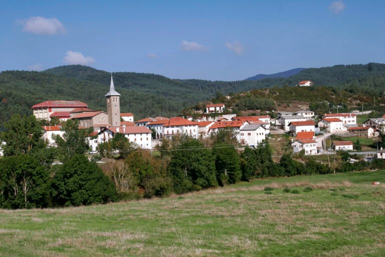 Navarra destina 85.000 euros a 25 proyectos para dinamizar el Pirineo