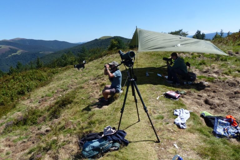 Dos ornitólogos estudiarán el comportamiento de las aves durante el eclipse en Auritz-Burguete