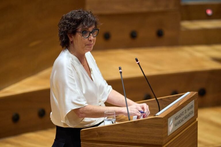 El PSN reivindica a Navarra como «un dique frente a la derecha» y centra su discurso en Madrid