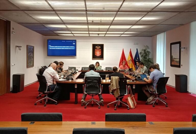 El Parlamento de Navarra constata que el Gobierno no cumple el traspaso del carné de conducir