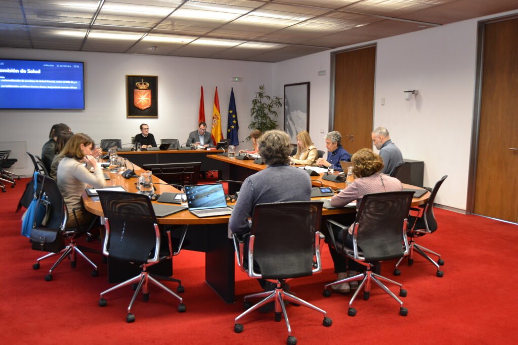 El Parlamento de Navarra pide controlar el uso de gabapentinoides ante el aumento de su consumo