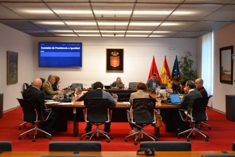 El Parlamento concluye que el Gobierno de Navarra no ha cumplido el mandato sobre el aeropuerto de Noáin