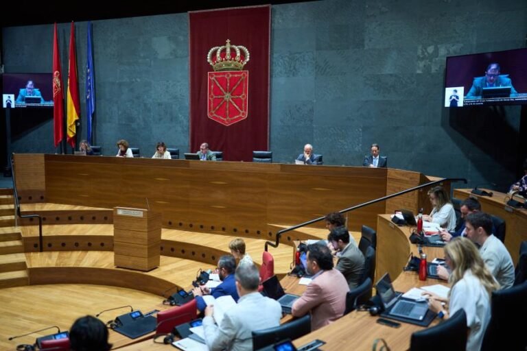 El Parlamento de Navarra aprueba 12 de las 24 resoluciones del Debate sobre el Estado de la Comunidad