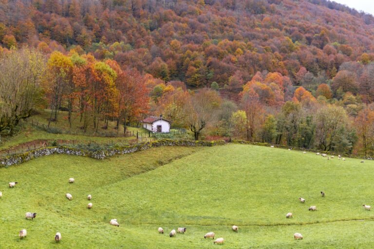 Aoiz reúne a entidades locales navarras para impulsar medidas frente al cambio climático