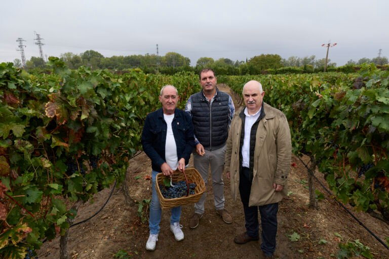La D.O. Navarra cierra la vendimia 2026, la más temprana de su historia