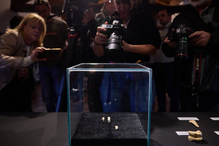 Descubren en la cueva de Abauntz los primeros restos de un neandertal identificados en Navarra