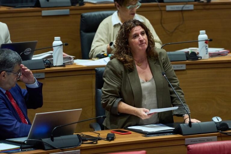 El Parlamento de Navarra reclama facilitar la negociación colectiva en el empleo doméstico