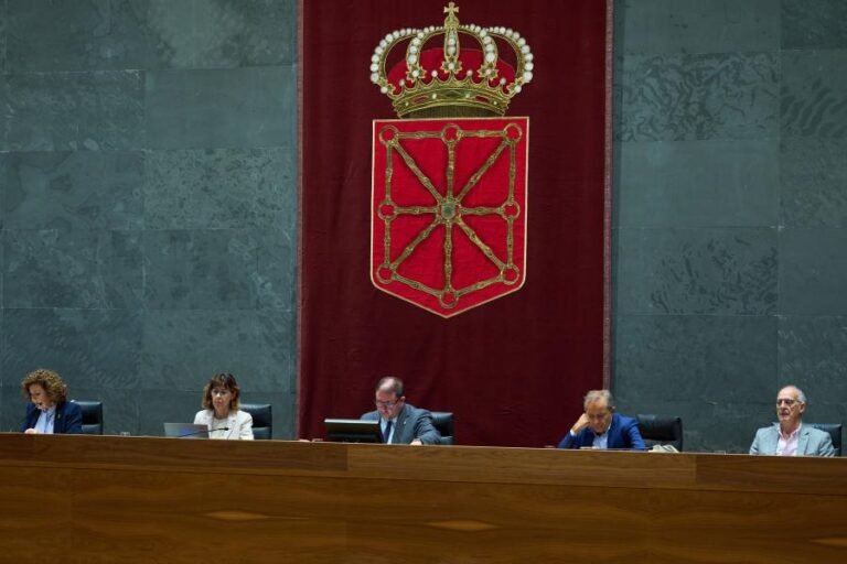 El Parlamento de Navarra aborda la atención a cuidadores, la contratación pública y la inmigración