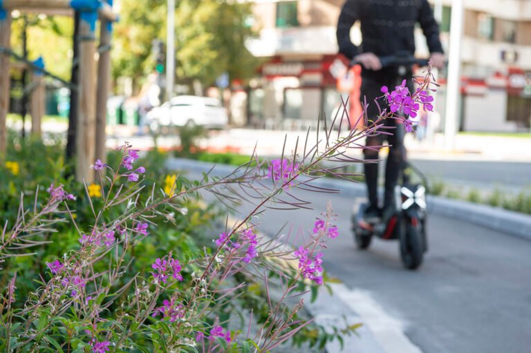 Los accidentes con patinetes bajan un 38,6% en Pamplona, pero aumentan los de bicicleta un 29%