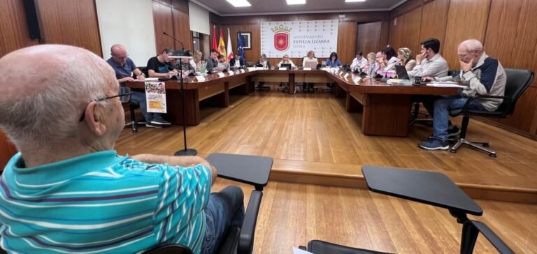 La vivienda y los contratos municipales centran el pleno de Estella