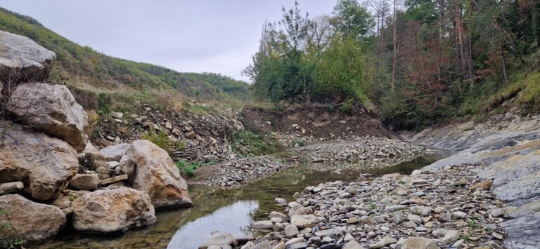 Igal y Murillo del Fruto reciben 244.000 euros para restaurar sus ecosistemas fluviales
