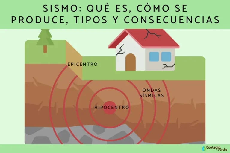 Un terremoto de magnitud 3,6 sitúa su epicentro en Burlada