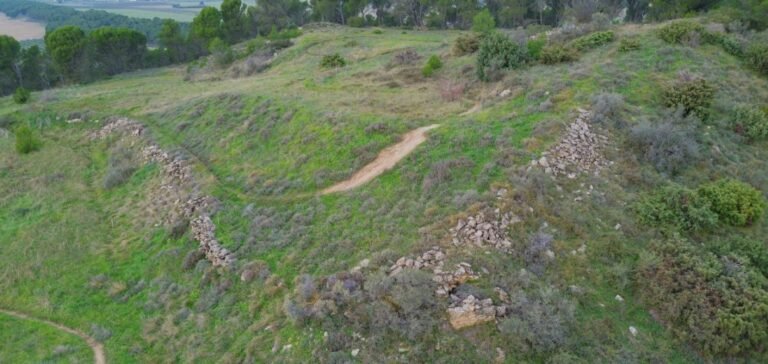 Tafalla organiza un auzolan para participar en la excavación del castro vascón de Valmediano